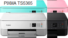 Canon PIXMA TS5365 ไดร์เวอร์เครื่องปริ้นและสแกนเนอร์